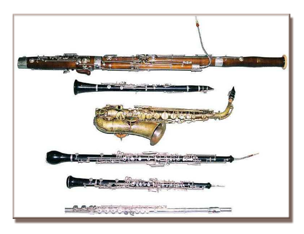 Дрвени дувачи